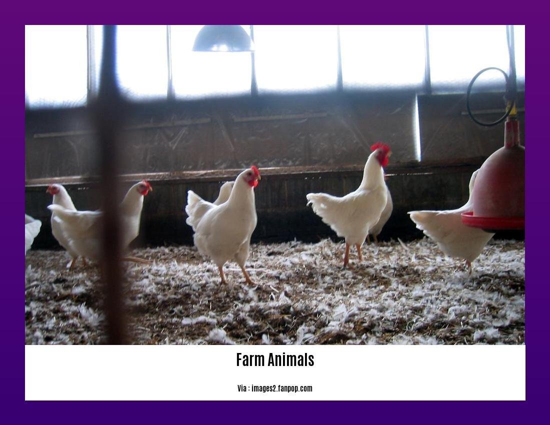 unveiling-the-10-importance-of-farm-animals-exploring-their-vital-role